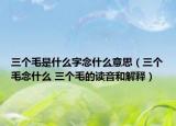 三个毛是什么字念什么意思（三个毛念什么 三个毛的读音和解释）