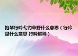 抱琴行吟弋钓草野什么意思（行吟是什么意思 行吟解释）