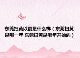 东莞扫黄以前是什么样（东莞扫黄是哪一年 东莞扫黄是哪年开始的）