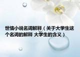 世情小说名词解释（关于大学生这个名词的解释 大学生的含义）