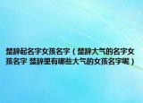 楚辞起名字女孩名字（楚辞大气的名字女孩名字 楚辞里有哪些大气的女孩名字呢）