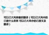 可以已大风挛瘘疠翻译（可以已大风中的已是什么意思 可以已大风中的已原文及翻译）