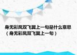身无彩凤双飞翼上一句是什么意思（身无彩凤双飞翼上一句）