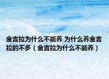 金吉拉为什么不能养 为什么养金吉拉的不多（金吉拉为什么不能养）