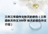三年三年级作文秋天的景色（三年级秋天作文300字 秋天的景色作文介绍）