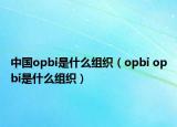中国opbi是什么组织（opbi opbi是什么组织）