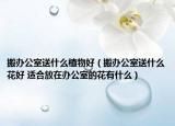 搬办公室送什么植物好（搬办公室送什么花好 适合放在办公室的花有什么）