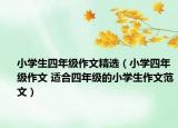 小学生四年级作文精选（小学四年级作文 适合四年级的小学生作文范文）