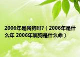2006年是属狗吗?（2006年是什么年 2006年属狗是什么命）