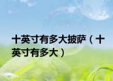 十英寸有多大披萨（十英寸有多大）