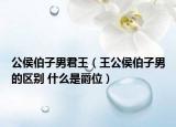 公侯伯子男君王（王公侯伯子男的区别 什么是爵位）