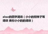 abac的四字词语（小小的照样子写词语 类似小小的的词语）