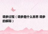 调参过程（调参是什么意思 调参的解释）