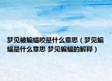 梦见被蝙蝠咬是什么意思（梦见蝙蝠是什么意思 梦见蝙蝠的解释）