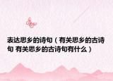 表达思乡的诗句（有关思乡的古诗句 有关思乡的古诗句有什么）