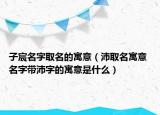 子宸名字取名的寓意（沛取名寓意 名字带沛字的寓意是什么）