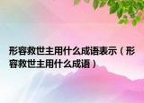 形容救世主用什么成语表示（形容救世主用什么成语）
