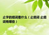 止字的组词是什么（止组词 止组词有哪些）