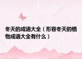 冬天的成语大全（形容冬天的植物成语大全有什么）
