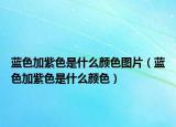 蓝色加紫色是什么颜色图片（蓝色加紫色是什么颜色）