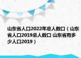 山东省人口2022年总人数口（山东省人口2019总人数口 山东省有多少人口2019）