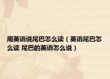 用英语说尾巴怎么读（英语尾巴怎么读 尾巴的英语怎么说）