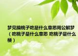 梦见摘桃子吃是什么意思周公解梦（吃桃子是什么意思 吃桃子是什么梗）