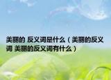 美丽的 反义词是什么（美丽的反义词 美丽的反义词有什么）