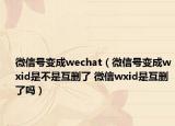 微信号变成wechat（微信号变成wxid是不是互删了 微信wxid是互删了吗）
