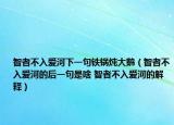 智者不入爱河下一句铁锅炖大鹅（智者不入爱河的后一句是啥 智者不入爱河的解释）