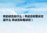 霁的读音是什么（霁读音和鹜读音是什么 霁读音和鹜读音）