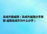 袁成杰跟戚薇（袁成杰戚薇分手原因 戚薇袁成杰为什么分手）