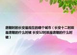 唐朝时的长安是现在的哪个城市（长安十二时辰是唐朝的什么时候 长安12时辰是唐朝的什么时候）