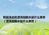 智能洗衣机漂洗加脱水是什么意思（漂洗加脱水是什么意思）