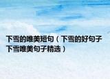 下雪的唯美短句（下雪的好句子 下雪唯美句子精选）