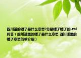 四川话的锤子是什么意思?总是锤子锤子的-zol问答（四川话里的锤子是什么意思 四川话里的锤子意思简单介绍）