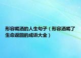 形容喝酒的人生句子（形容酒喝了生命返回的成语大全）