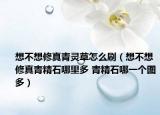 想不想修真青灵草怎么刷（想不想修真青精石哪里多 青精石哪一个图多）