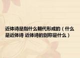 近体诗是指什么朝代形成的（什么是近体诗 近体诗的别称是什么）
