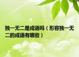 独一无二是成语吗（形容独一无二的成语有哪些）
