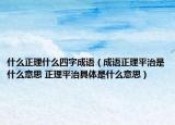 什么正理什么四字成语（成语正理平治是什么意思 正理平治具体是什么意思）