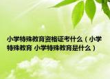 小学特殊教育资格证考什么（小学特殊教育 小学特殊教育是什么）