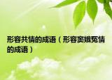 形容共情的成语（形容窦娥冤情的成语）