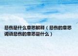 悲伤是什么意思解释（悲伤的意思 词语悲伤的意思是什么）