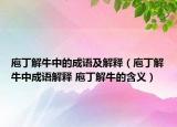庖丁解牛中的成语及解释（庖丁解牛中成语解释 庖丁解牛的含义）