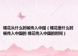 棉花从什么时候传入中国（棉花是什么时候传入中国的 棉花传入中国的时间）