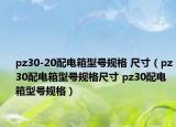 pz30-20配电箱型号规格 尺寸（pz30配电箱型号规格尺寸 pz30配电箱型号规格）