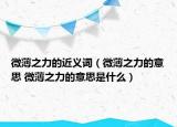 微薄之力的近义词（微薄之力的意思 微薄之力的意思是什么）