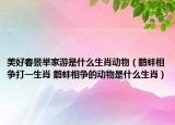 美好春景举家游是什么生肖动物（鹬蚌相争打一生肖 鹬蚌相争的动物是什么生肖）