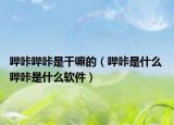 哔咔哔咔是干嘛的（哔咔是什么 哔咔是什么软件）